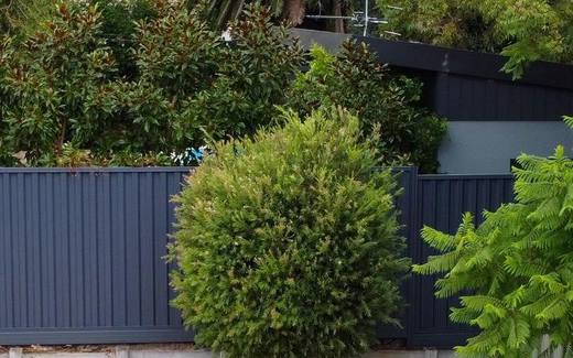 Grey Colorbond fence built above a limestone block base beside a garden