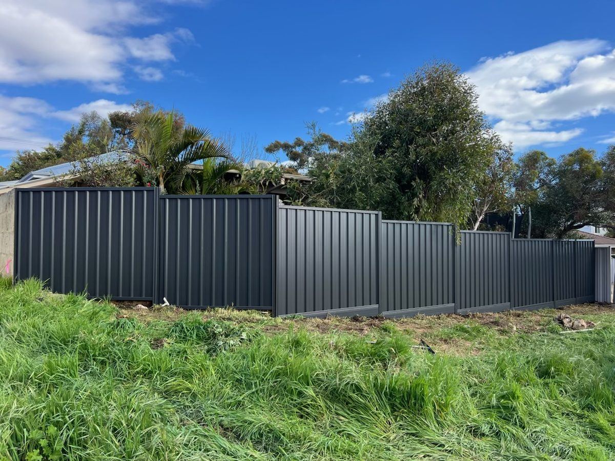 Grey Colorbond fence along an overgrown side boundary