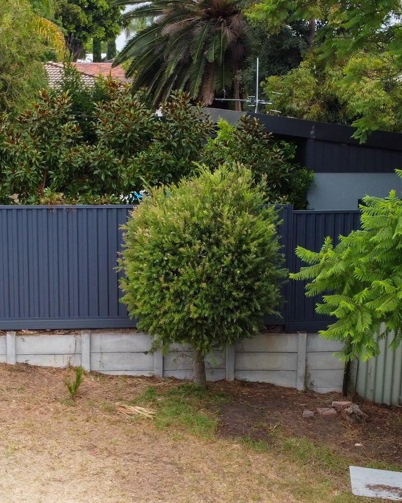 Grey Colorbond fence built above a limestone block base beside a garden